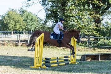 Bild 82 - Pony Akademie Turnier